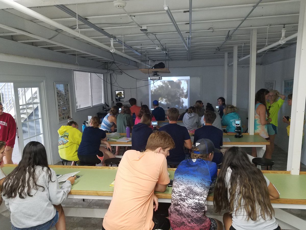 bcmarinescience's tweet image. Our BCHS/NHS KeyLargo Marine Lab field trip is amazing. @NaplesHS @BarronCollier @CollierScience #marinelabkeylargo