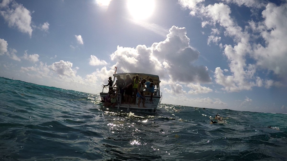 bcmarinescience's tweet image. Our BCHS/NHS KeyLargo Marine Lab field trip is amazing. @NaplesHS @BarronCollier @CollierScience #marinelabkeylargo