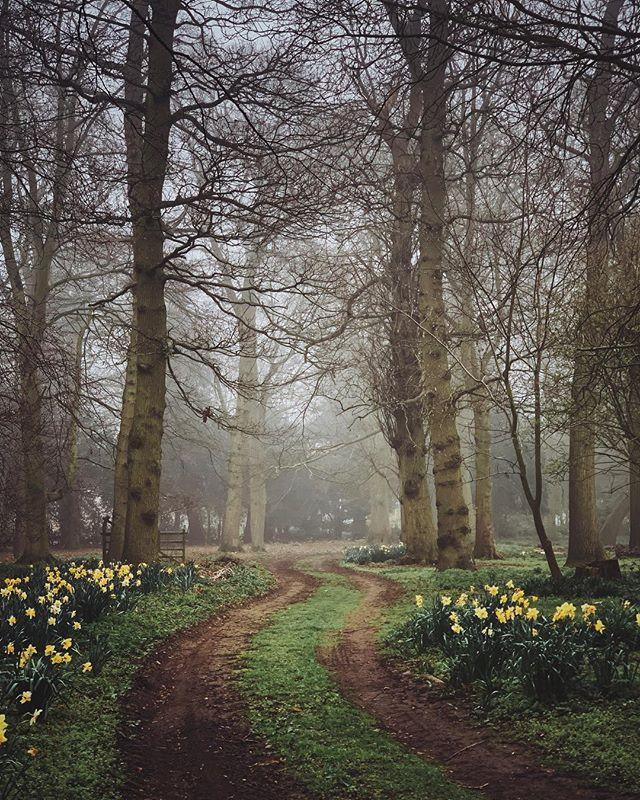 Fog, like pea soup, all day, all evening...
.
.
.
.
#whpfavoritecolor #daffodils #getoutside #naturelovers #springwatch #momentsofmine #slowliving #theartofslowliving #normalfornorfolk #rurallife #nature_seekers #botanicalpickmeup #fog bit.ly/2IjhpS0