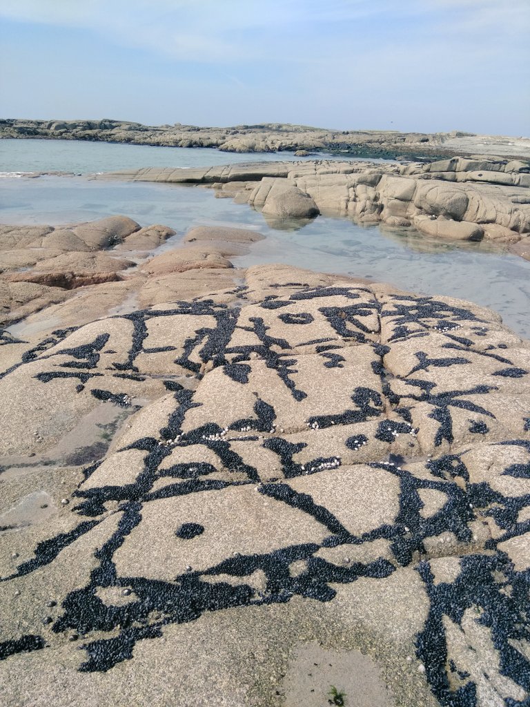 I have never seen so many muscles. I love how they pick out the joints in the rock. #geoholiday #ireland #geology