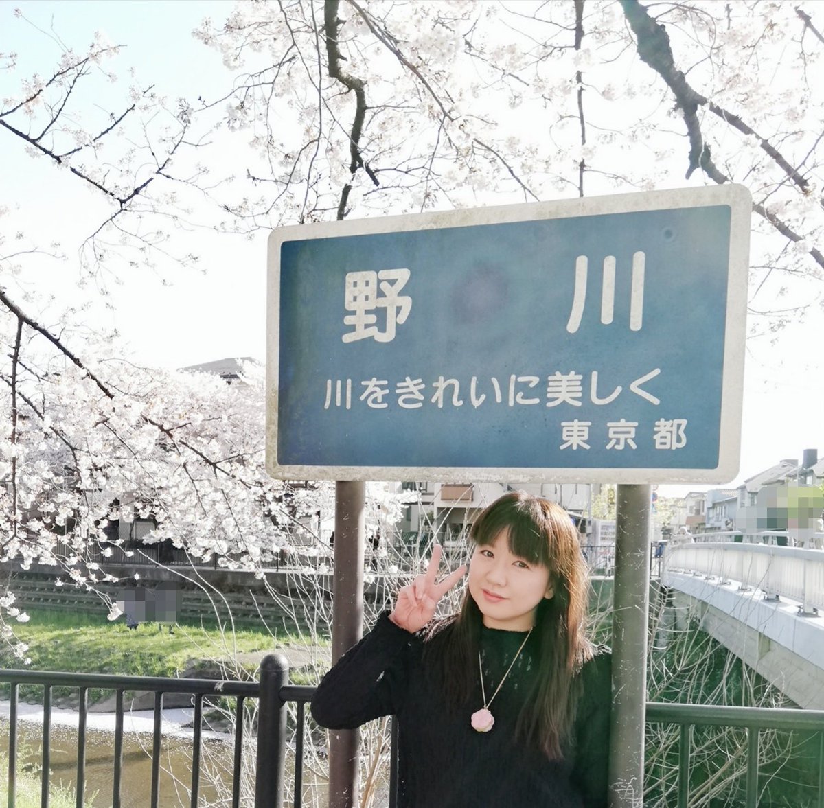 野川さくら Ar Twitter 正解は ここっ はじめて野川の桜を見に行ってきました 野川のさくらと 野川さくら 笑 野川さくら Ar Twitter 正解は ここっ はじめて野川の桜を見に行ってきました 野川のさくらと 野川さくら 笑