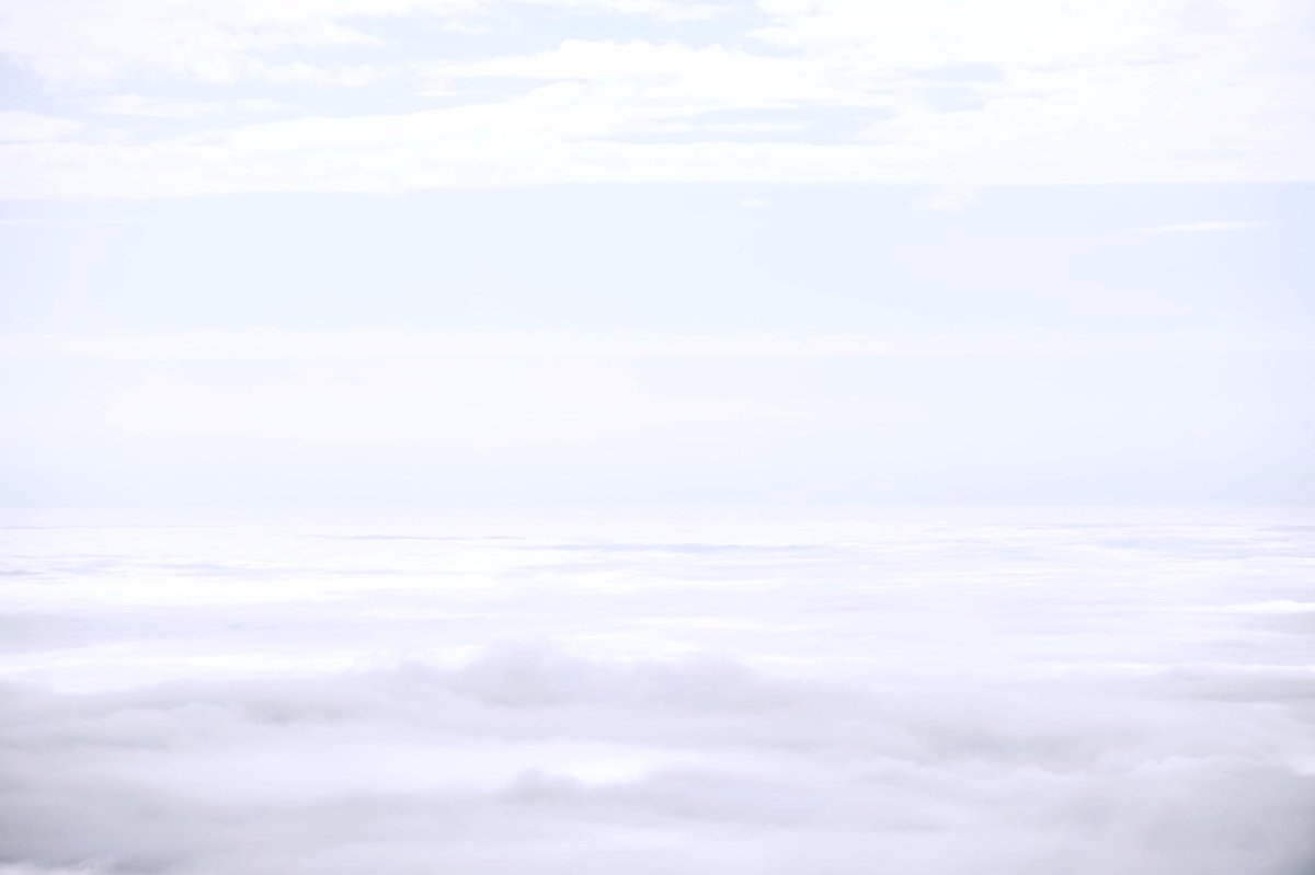 ChrisRiefPhoto's tweet photo. Not all who wander are lost ... wait... where am I? 
☁️
☁️
☁️
📍 @ShenandoahNPS #FindYourPark #FindYourCloud @NP_Geek #NationalParkGeek #LostInTheClouds #LoveVA https://t.co/B2AeD6Mb4U