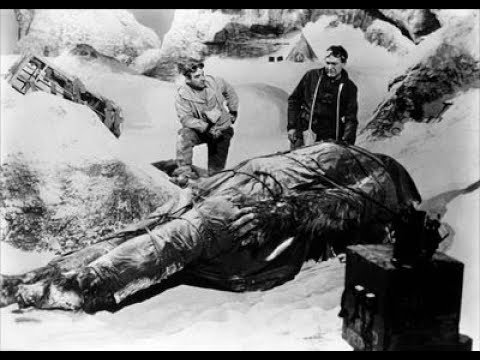 1428_Elm's tweet photo. #TheSnowCreature is an old school, cryptid-themed sci-fi Horror film about a Yeti loose in Los Angeles.  @wade_wainio wonders will it be caught or blend in all too well?

https://t.co/yBZTgkmQiO https://t.co/N25PXs8ezZ