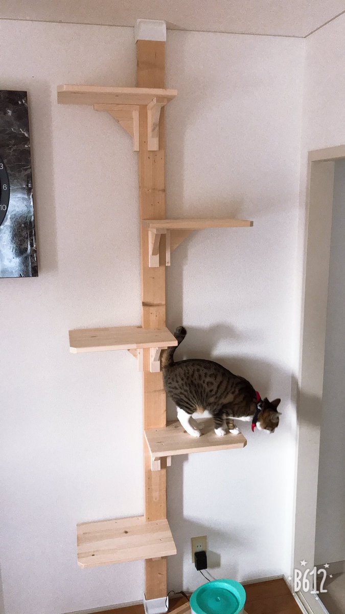 愛猫にキャットタワーを自作したい 簡単につくれる方法をご紹介
