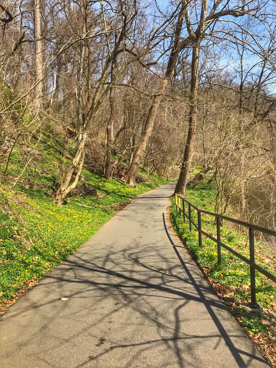 suzallaire's tweet photo. Beautiful day for a run in the Wiss w the @beerrunners #myphillyrun https://t.co/pSy3o2Pi00