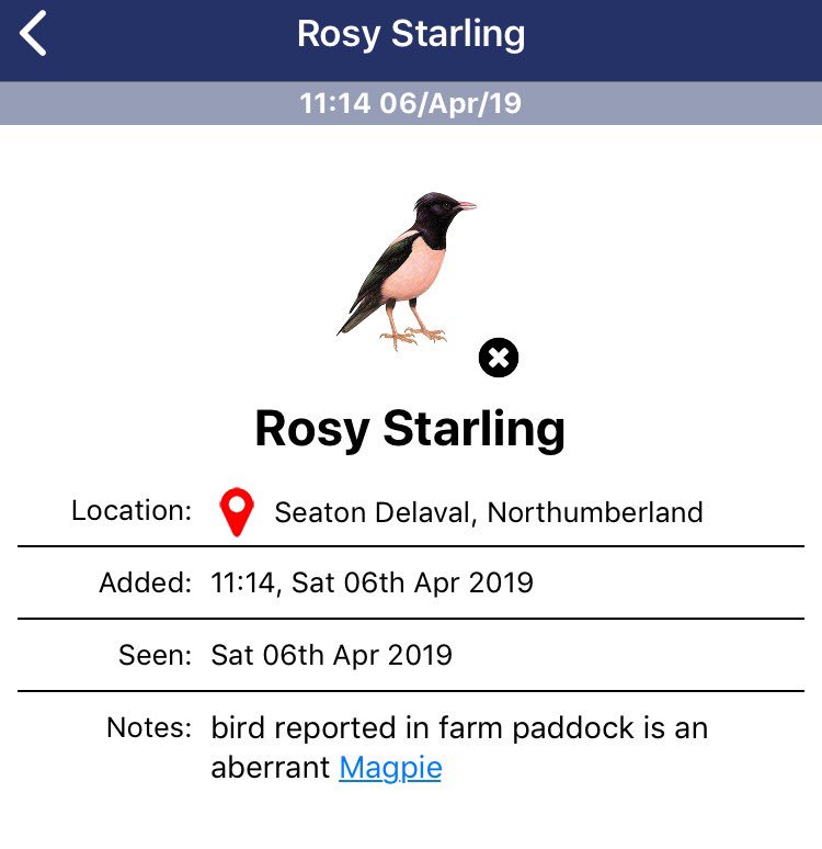 Record shot, my arse tweet media