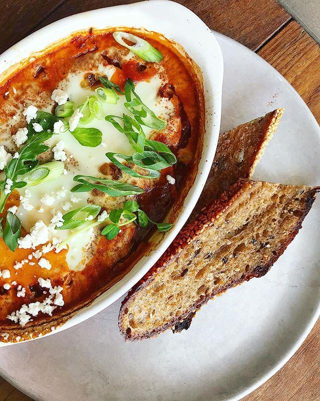 RaleighWhatsUp tweet media