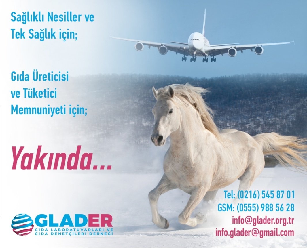 Sağlıklı Nesiller ve Tek Sağlık için...
#GLADER 
glader.org.tr 

7 Nisan Dünya Sağlık Gününüz kutlu olsun...
#DünyaSağlıkGünü  #WorldHealthDay  #VeterinerHalkSağlığı