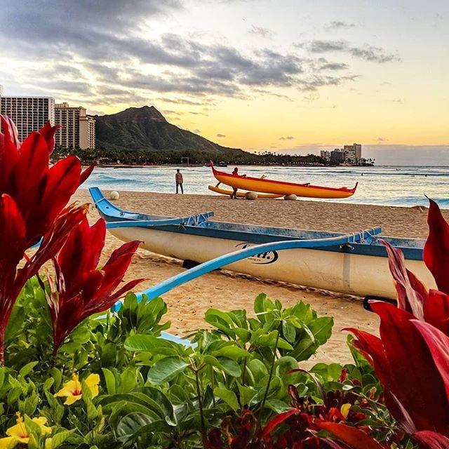 bluenotehawaii's tweet photo. A happy Sunday with sun, sand & sea. #repost @renatahaidle
•
•
•
#SundayFunday #luckywelivehawaii #hawaiigram #dabesthawaii #hawaiiwego #lethawaiihappen #visithawaii #visitoahu #oahulife #honolulu #waikiki #hawaii #igoahu #ighi #beyondwords #… https://t.co/TvG7AQ570i https://t.co/pqOYdAwyR6