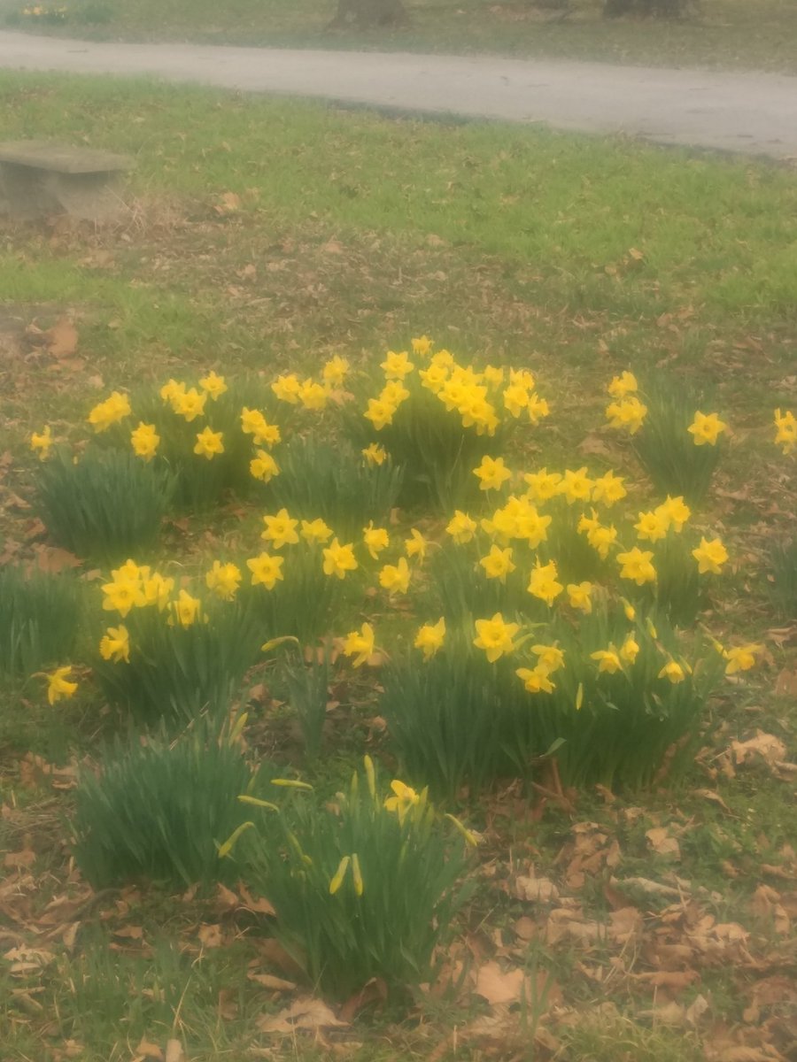 Probits's tweet image. Loving this look warm weather is on the way.