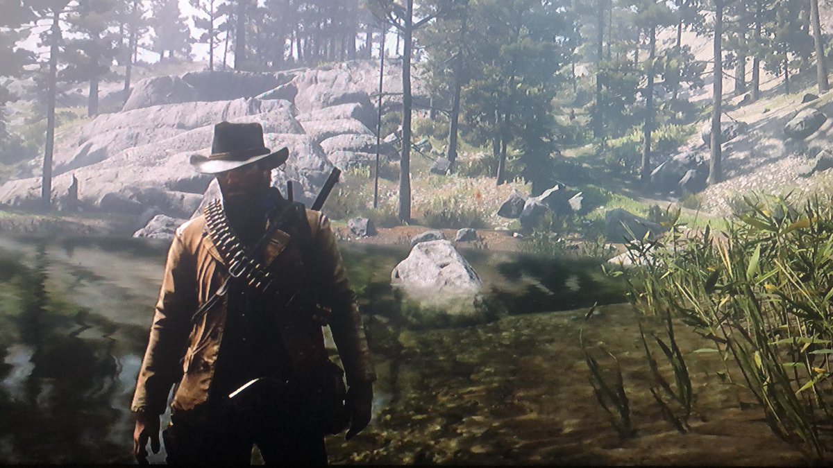 Diamond_diva795's tweet photo. Letโs hunt some OโDriscolls ๐ค #RDR2
#RDR2Online #arthurmorgan #dutchgang #psn4 https://t.co/k3pGM7LG0o