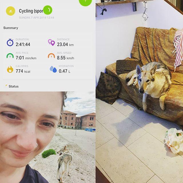Squidgeypaws's tweet photo. 23km = quiet night at home 😂😂😂❤🐺 mission sleepy puppy has had some success (although I suspect I'm more tired than she is 😂)
.
.
.
#operationsleepypuppysuccess
#fitfam #steps #running #runningwithwolves #czechoslovakianwolfdog #fitness #fit #runw… https://t.co/t5JDgv9wjn https://t.co/D2mDUX6Vre