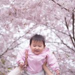 子供の成長記録に毎年ココで写真を撮る!ってちゃんと決めておこう!