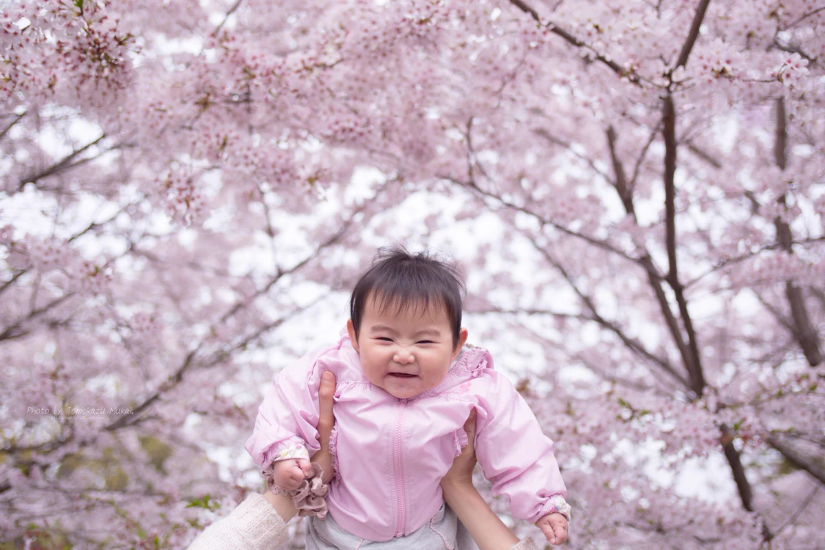 子供の成長記録に毎年ココで写真を撮る！ってちゃんと決めておこう！