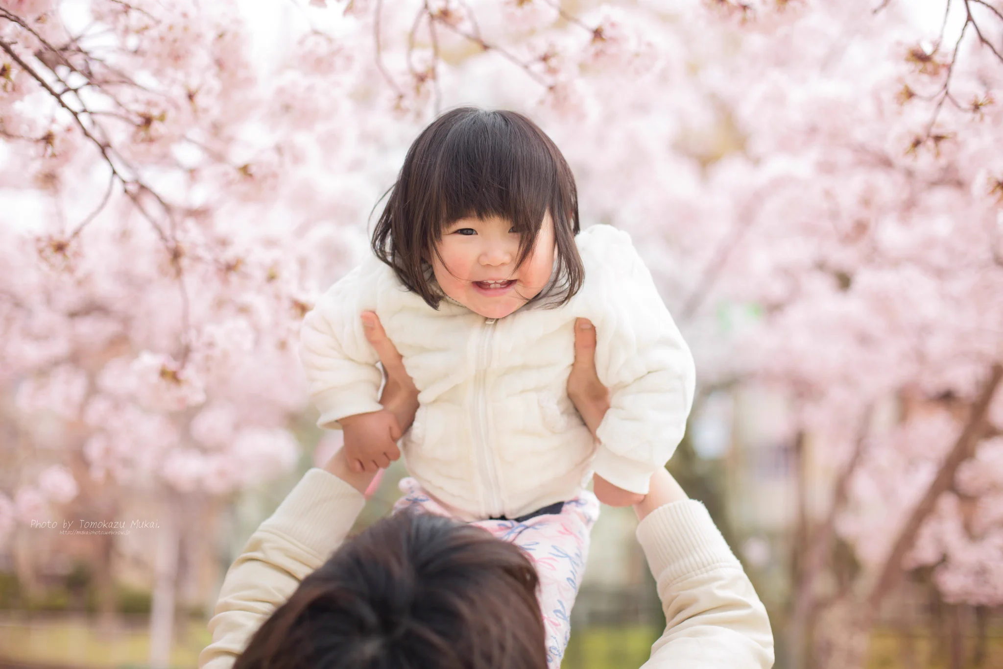 子供の成長記録に毎年ココで写真を撮る！ってちゃんと決めておこう！