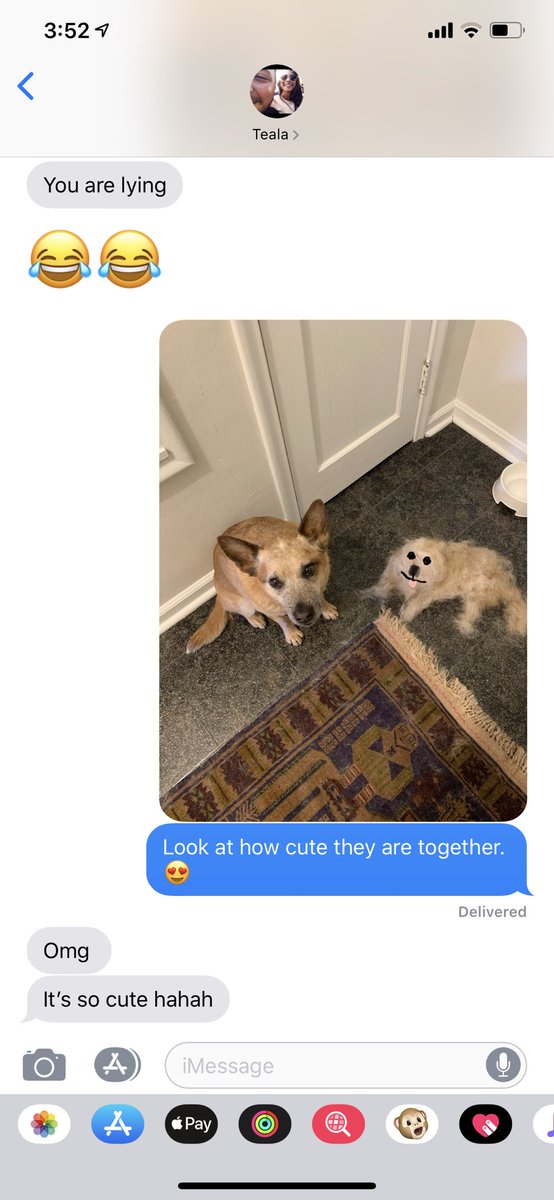 Mcclain_'s tweet photo. So this is how I broke it to my girlfriend that we adopted a new dog today. 😅 https://t.co/47SV9vxiiW