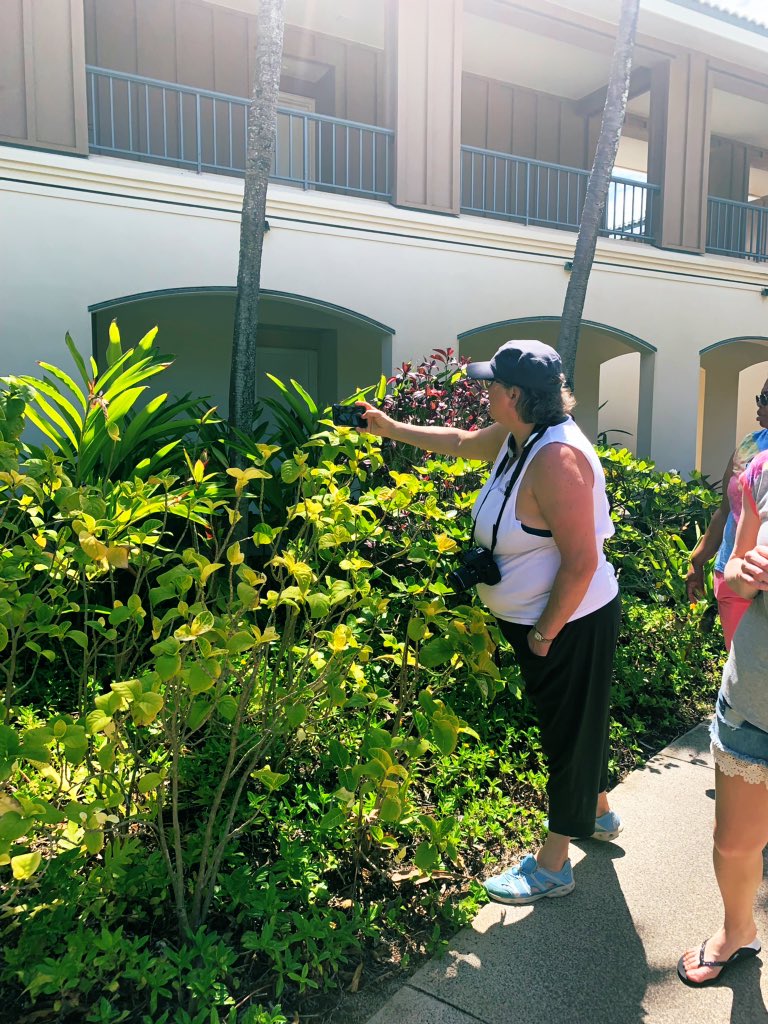 PACHospitality's tweet photo. They don’t call Kauai the Garden Isle for nothing! Learn all about different flowers and plants you can find on our property and on the island during #ResortWalk #PPRalohacenter #KauaiAlohaCenter #DiamondHawaii https://t.co/03nsfEA7Rh https://t.co/gqzyrezRpw