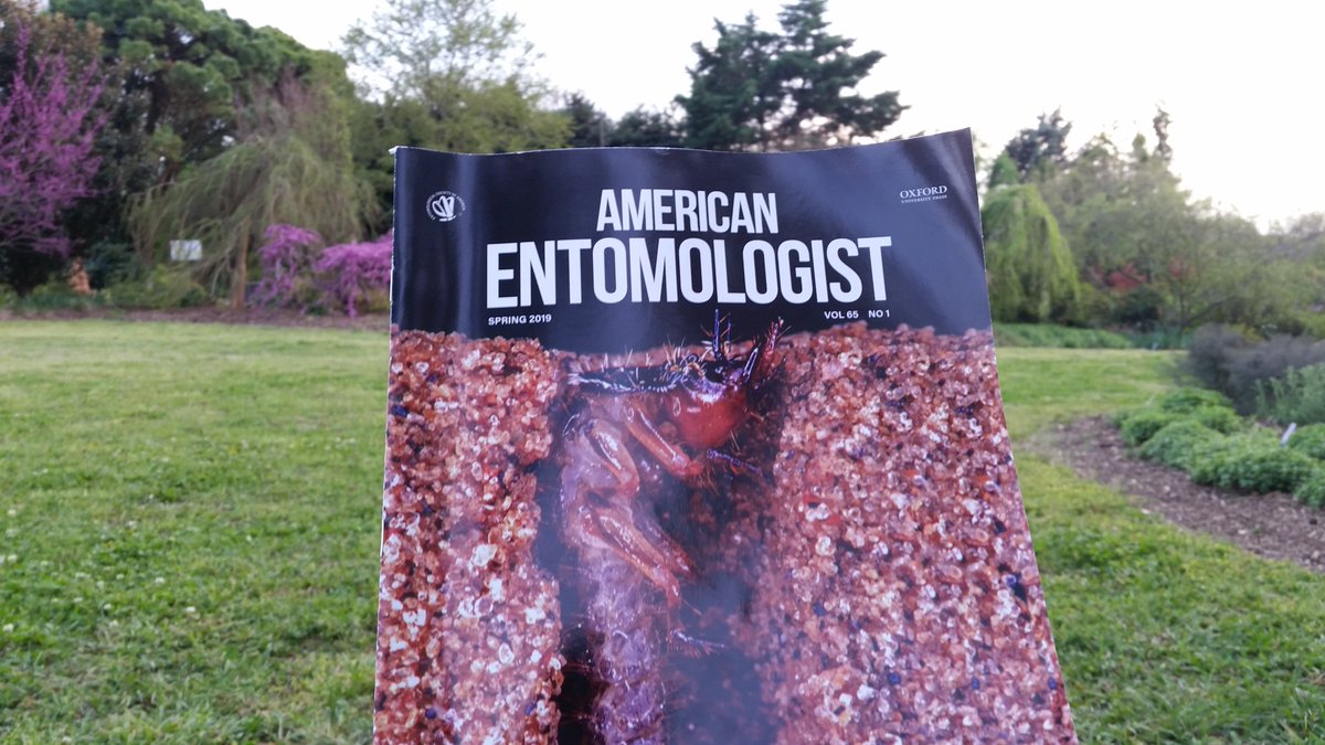 "Entomologists should expect people to excitedly bring us species of insects that they have never seen, but that we have seen hundreds of times"--Shipley and Bixler for 'An Unconventional Approach to Fostering Ento Literacy.' A must read in <a href="/EntsocAmerica/">Entomological Society of America</a> 's latest.