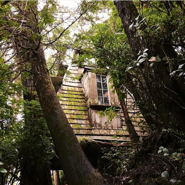 PoolesLand's tweet photo. Bylaw is cracking down hard on all violations and have demanded that all structures on the land including the pyramid, sunshine cabin, cabin by the the pond and others be torn down. We have 60 days to demolish 9 buildings unless we can convince them otherwise or make a big stand. https://t.co/N1JBPU1SKX
