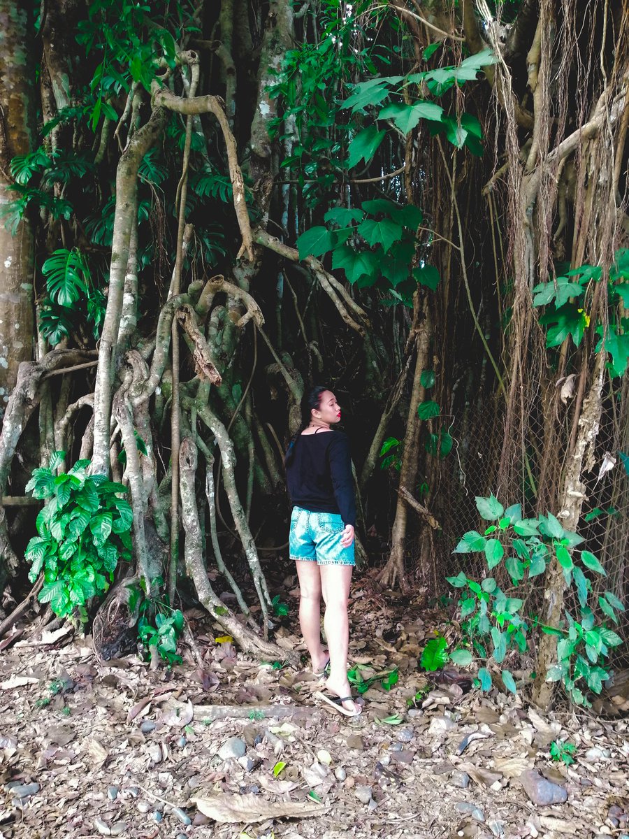 wanderwoman321's tweet photo. Into the woods
#Baler2019 https://t.co/nNLM5SAP8a