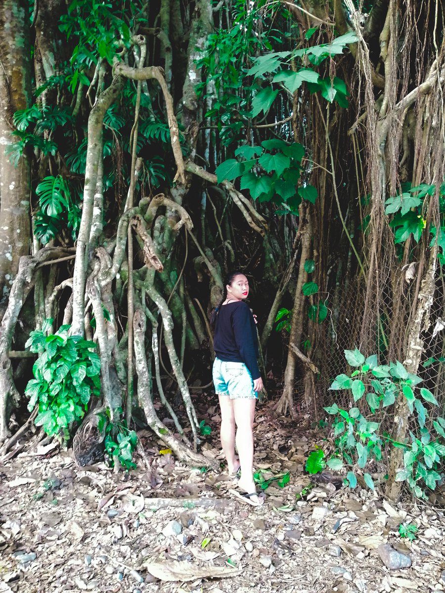 wanderwoman321's tweet photo. Into the woods
#Baler2019 https://t.co/nNLM5SAP8a