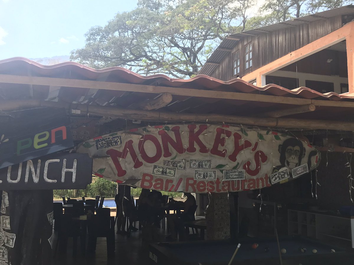 blackfawndistro's tweet photo. Black Fawn Distribution is now immortalized at the THE MONKEY BAR in Costa Rica 🤟🏝 #CostaRica #TheMonkeyBar https://t.co/WhoPQvejNP