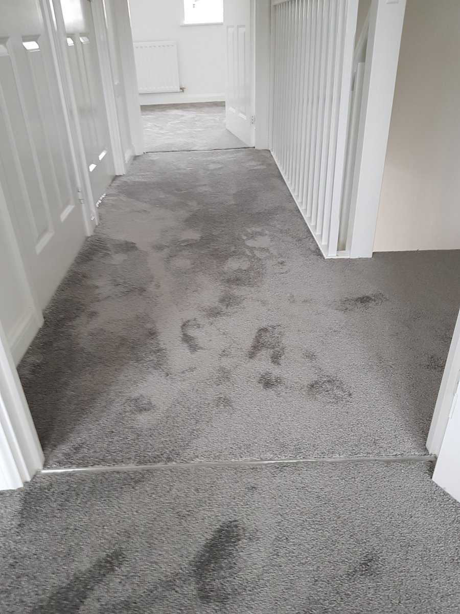 Peter Kearney Carpets & Flooring tweet media