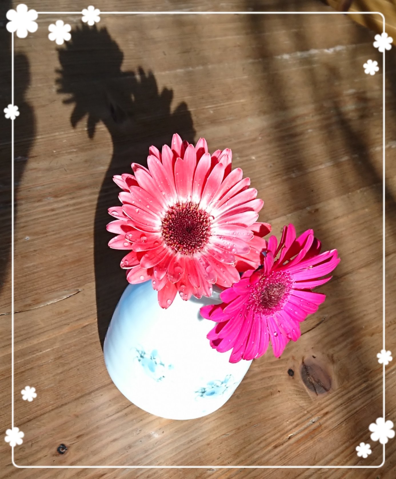 さお ガーベラの花言葉 希望 前進 ピンクガーベラの花言葉 感謝 崇高美 いわちの事を想いながら部屋に飾ってみたよ 岩橋玄樹 いわち ガーベラ ピンクガーベラ 花言葉 希望 前進 感謝 崇高美 濃いピンク 薄ピンク 君を さお ガーベラの花言葉 希望 前進 ピンクガーベラの花言葉 感謝 崇高美 いわちの事を想いながら部屋に飾ってみたよ 岩橋玄樹 いわち ガーベラ ピンクガーベラ 花言葉 希望 前進 感謝 崇高美 濃いピンク 薄ピンク 君を