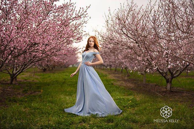 MelDKelly's tweet photo. No, @ella.e.kelly isn’t going to prom. Yes, I like to dress her up in random prom dresses and make her stand in places. #melissakellyimagery #ict #wichitasenior #wichitaseniorphotographer #wichitaseniorphotgraphy #wichitaphotographer #redhead #wichitaks #wichita https://t.co/yOIApMcHWe