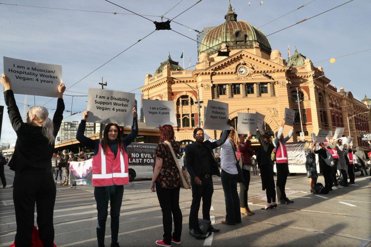 I am a cattle farmer. I am not a vegan, nor am I cruel to cattle. This is not the answer, nor is trespassing, nor is harassing families enjoying a meal with their children. Animal welfare does not equal #vegan. You are bullies doing the animal welfare movement a huge disservice.