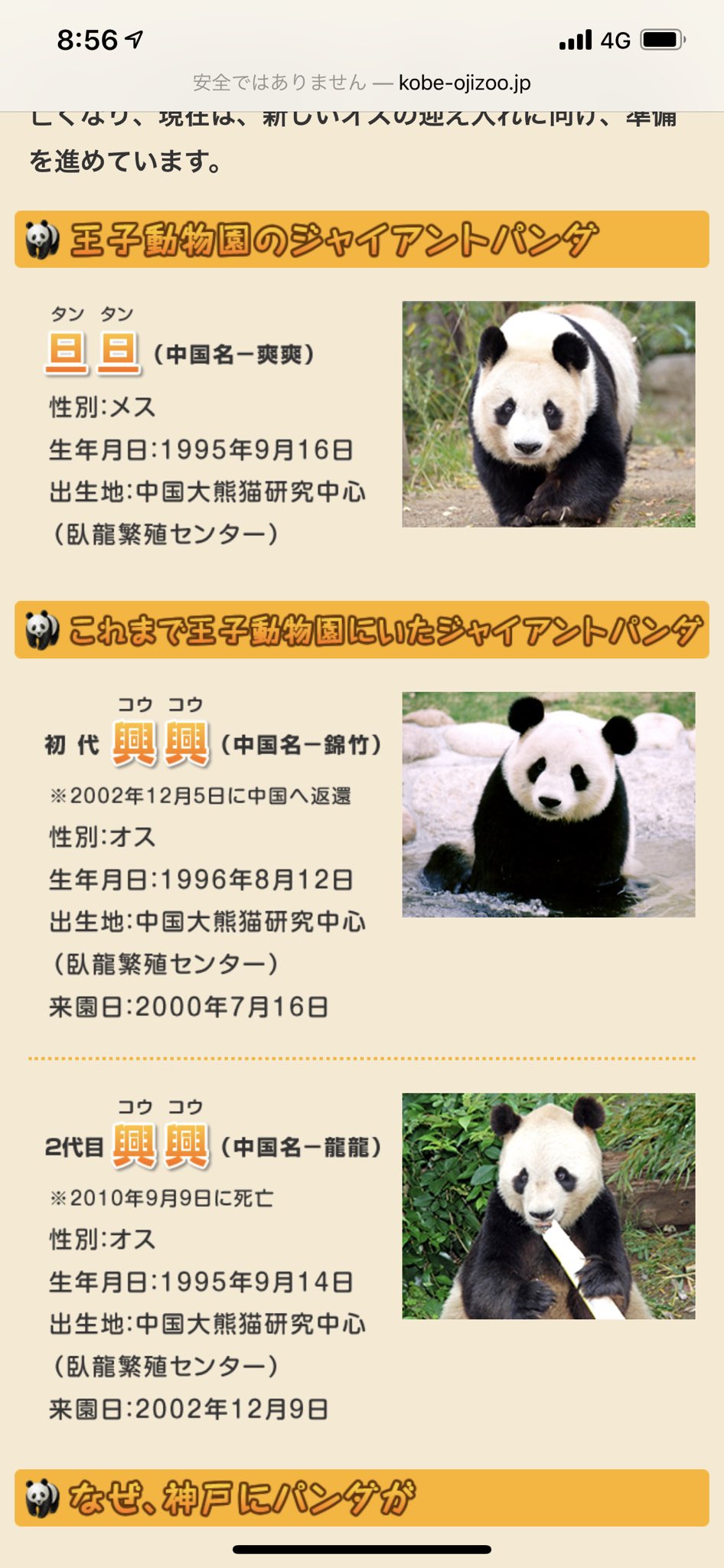 革14 大パンダ、ジャイアントパンダ、大熊猫FDC www.savenauto.pt