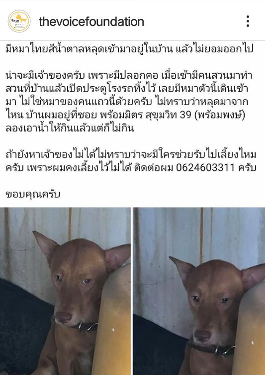 อัญชลิกา สมฤทธิ์ tweet media