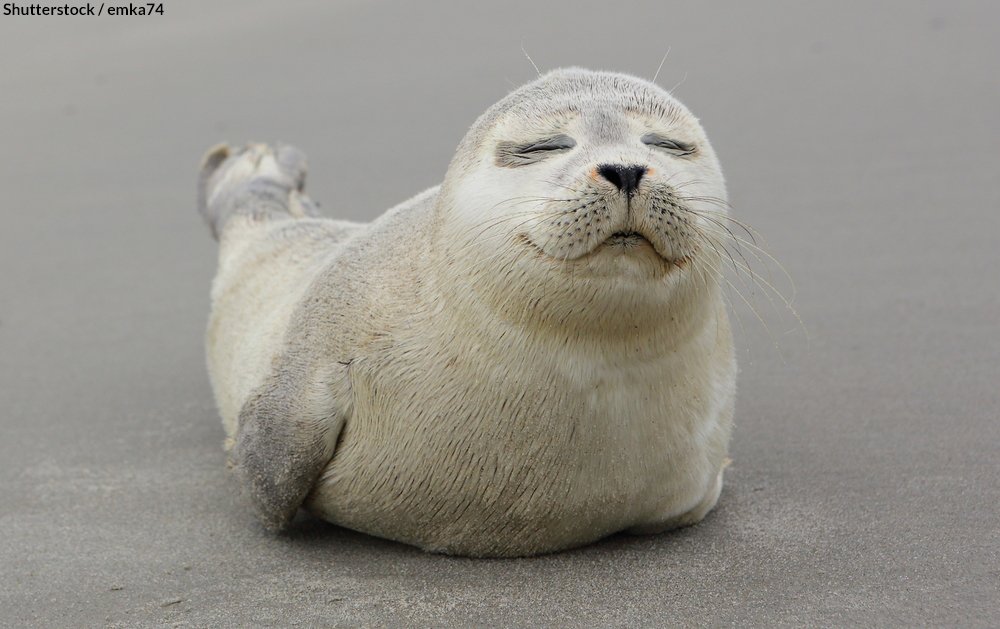 oceana's tweet photo. Sunday smiles ☺️ https://t.co/jLVLihpxkU