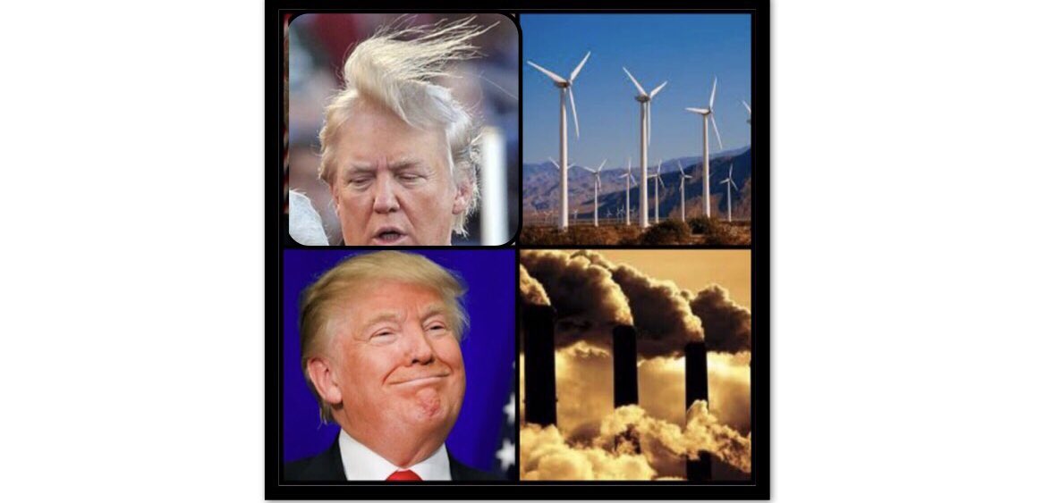 AmandaAlger2019's tweet photo. #TrumpIsAFraud #AnyDemIsAWin #WindmillCancer #BeAshamedAmerica #FakeWindmillFacts #TrumpIsAFraud https://t.co/vXjPAWOyNf