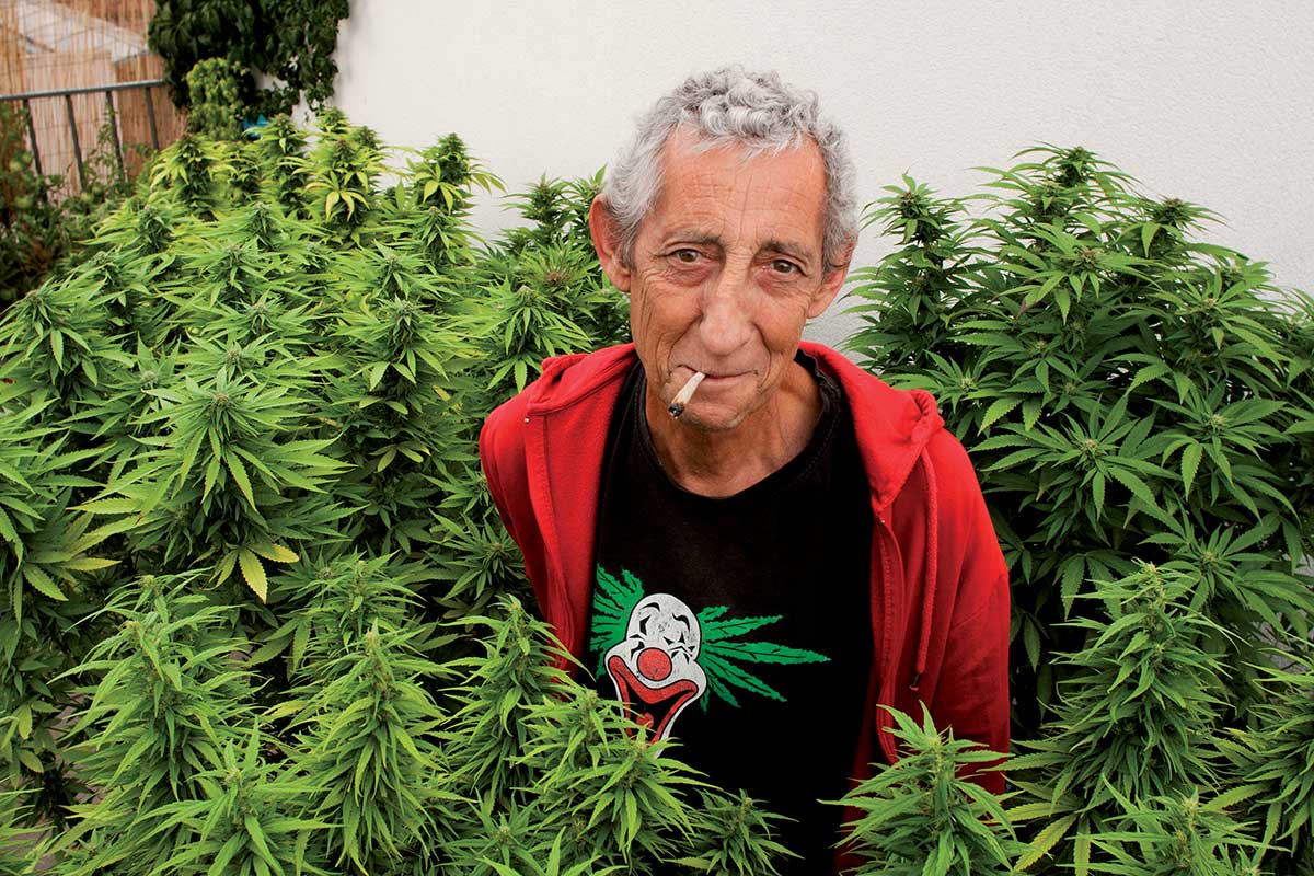 jpceccaldi's tweet photo. NUMÉRO #300 : Le Cannabiste Best Of
https://t.co/oxroLPf7WG
 
"Et la suite ?
La suite nous l’écrivons ensemble tous les jours …"

#LeCannabiste un média qui vous veut du bien
#MondeDeDemain #BestOf #Putain300 #Compilation #Cannabis #légalisation #politique #presse https://t.co/HzEEBY57xl