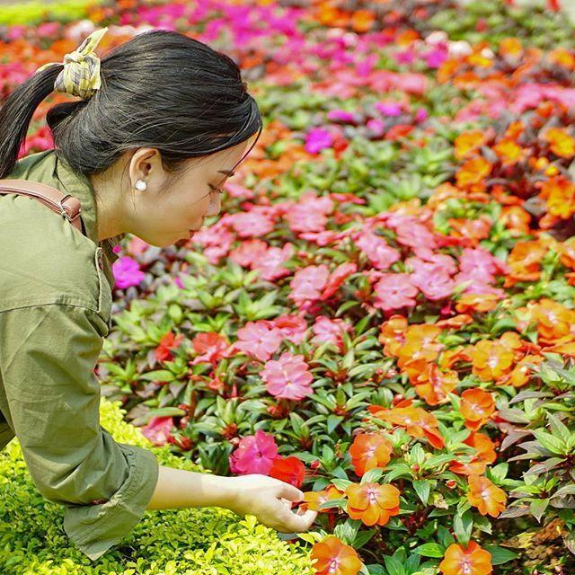 AnneBanigoos's tweet photo. Trying to sniff the flowers but with my lips pout. Haha. I’m not sure why either. https://t.co/oQwBHAyZT3 https://t.co/zpXNqte2Qx