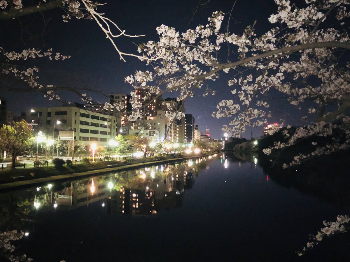 hideking009's tweet image. 