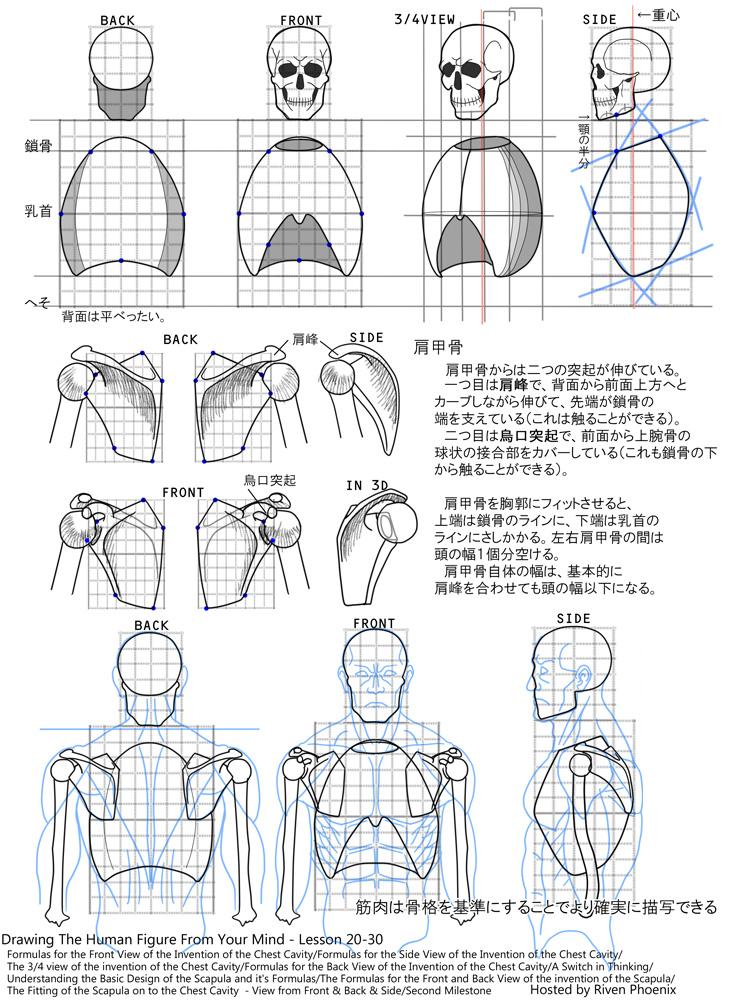 うろおぼえ人体ノート 1/3 