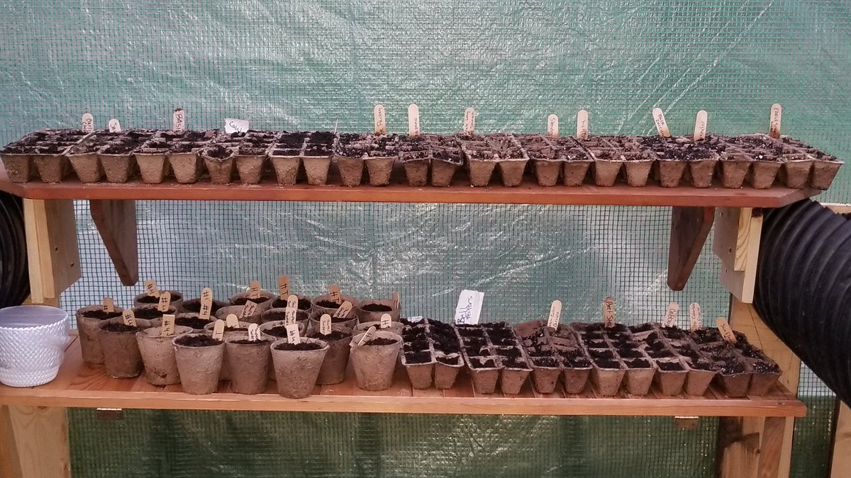 bay_jess's tweet photo. Things have been hopping around the old Bay homestead this weekend! #greenhouse #NonGMO #Homegrown #selfsufficency https://t.co/ehdmgUntwu