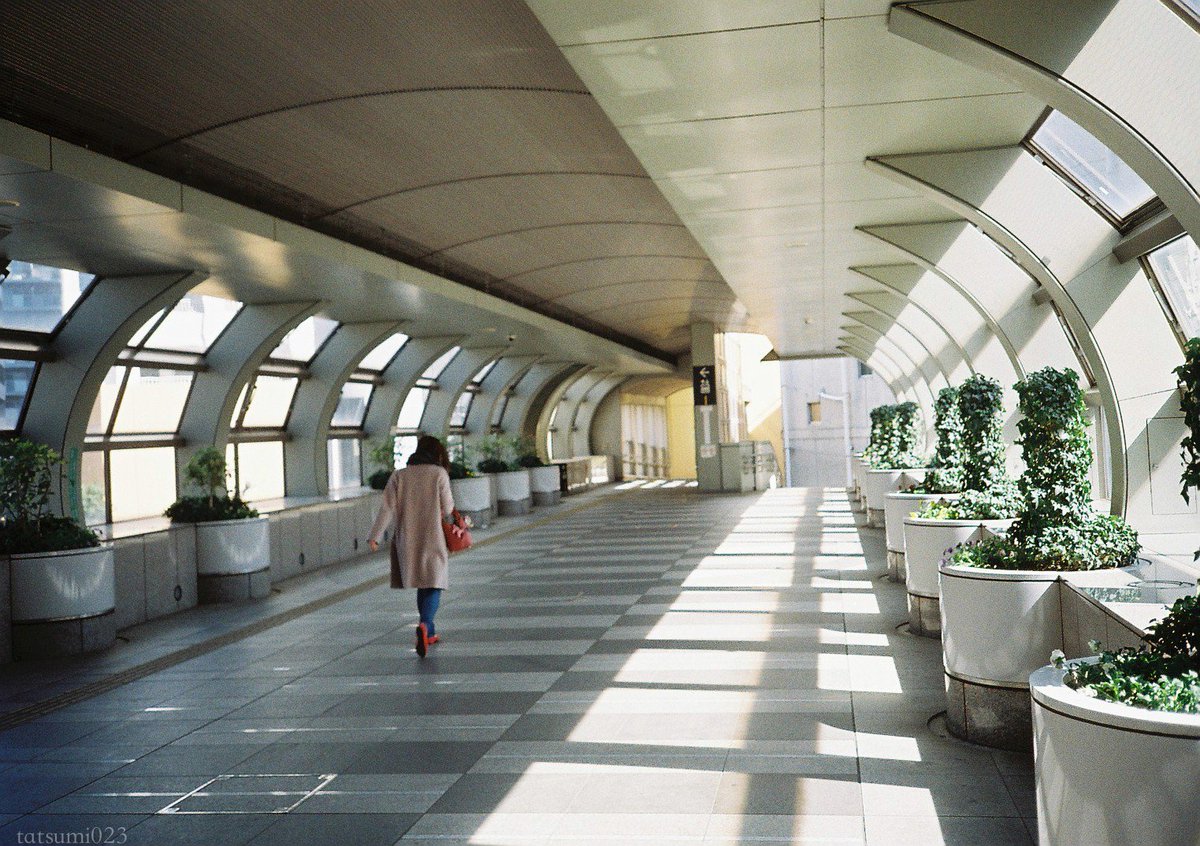 tatsumi4_snap's tweet photo. 練馬
#filmphotography
#ricoh
#ff9s https://t.co/FEDCj2gFnm