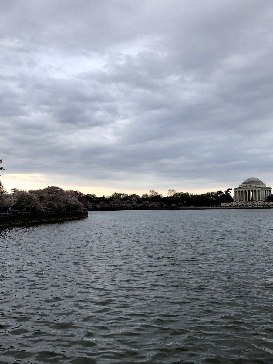 TaylorEO14's tweet image. Amazing day 1 at #AAPLegCon! Excited for the rest of the conference and to meet with the offices of Senator Toomey and Senator Casey Tuesday!  Excited to learn more about how to #PutKids1st! #PCOM @AAPSOPT #dynamicdistrict3 #polisciminor