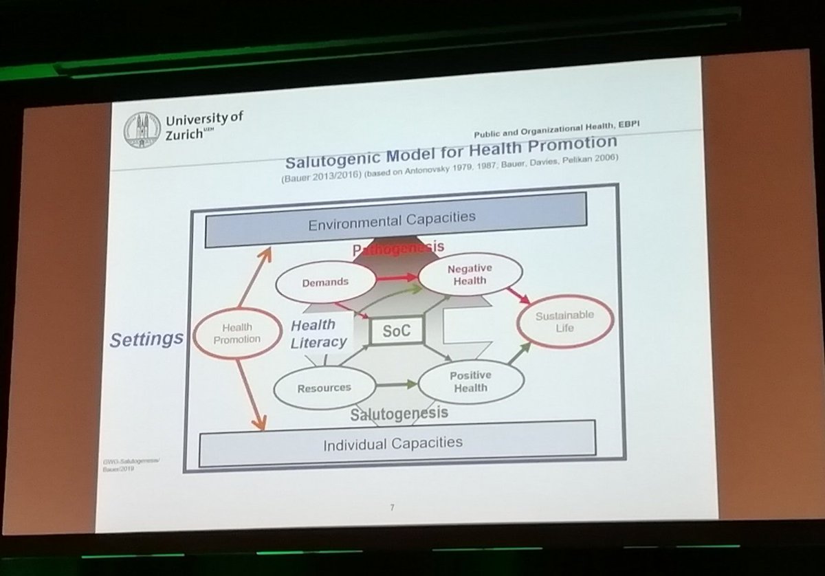 Vics_Echidna's tweet photo. Salutogenic model of health and #settings. Talking about schools, workplaces, hospitals, community. Looking forward to talking about #healthpromotingprisons on Wednesday. #Prisons as a #healthysettings for health and wellbeing ๐ฅ https://t.co/TUYWP6Isgh