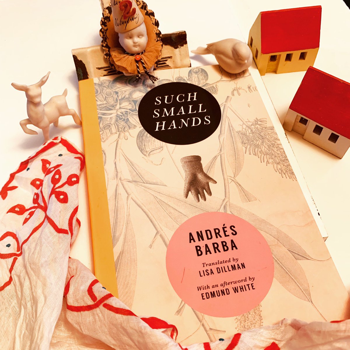 jennydoh's tweet photo. Hereโs my book review of #SuchSmallHands by #AndresBarba and translated by #LisaDillman https://t.co/DvZXDVJDVI https://t.co/18z8DH8AOC