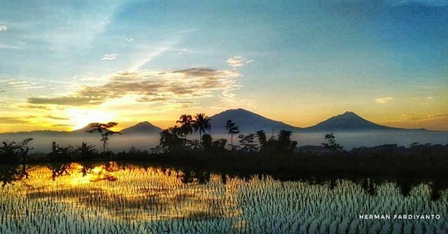 kabarMGL's tweet photo. #picMGL - Good morning all
.
Pic: @hfasalfoto
Loc: Ds.semen, #windusari #magelang
. =================================
#captionkabarmgl #magelang #ayokemagelang #kabarmagelang #wartamgl #wartamagelang #muntilan #photooftheday
============================โฆ https://t.co/rySIxU3UQW https://t.co/9VuMEhPXwm