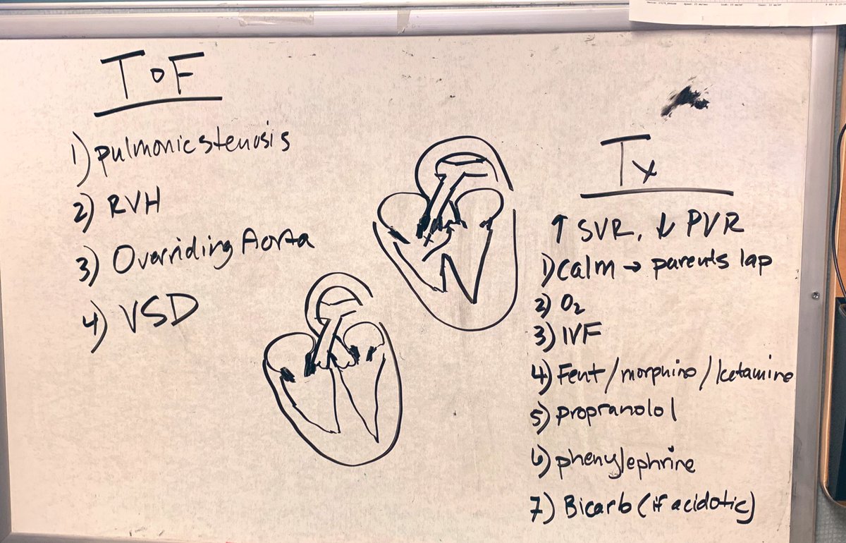 DenverEMed's tweet photo. #PEM #AttendingPearls 

Tetralogy of Fallot- Management of Tet Spells.  

Heart Art by Dr. Taylor McCormick ♥️❤️♥️

#ThisisDenverEM #ThisisDenverPEM https://t.co/Hsd8LOitW0