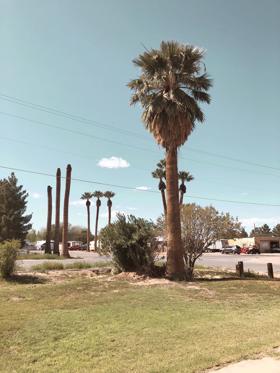 BeckCadence's tweet photo. Nevada 🌴 https://t.co/T4IHJwNhUY