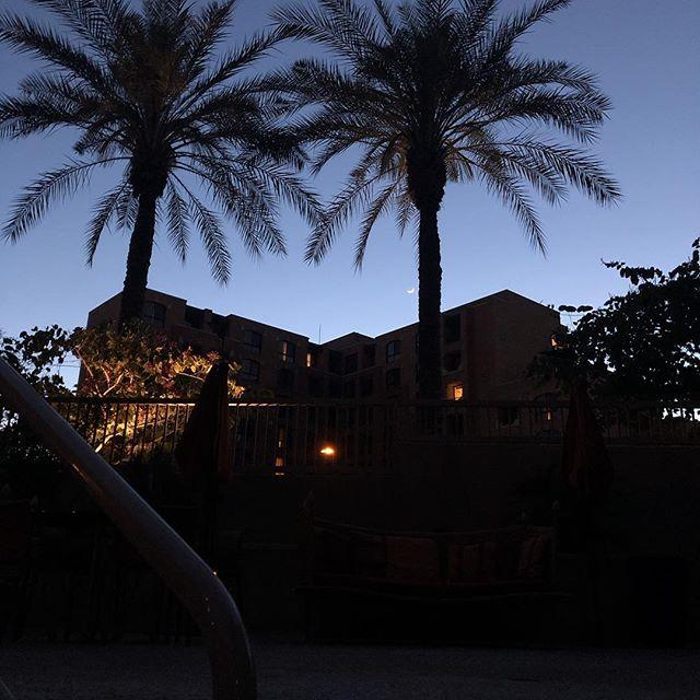 bpbones's tweet image. 🌴