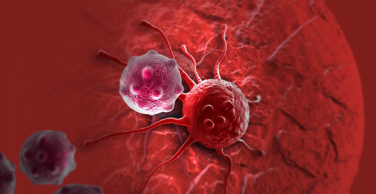 METICULOUSCONF1's tweet photo. Meet Inspiring #Speakers and #Experts at our #BiomarkersEvents_2019 #conferences, #Milan, #Italy during #October 21 - 22, 2019 .
Get more details at : https://t.co/daUwTFtZZp
#ClinicalResearchConferences #Biomarkers #TherapeuticsMeetings #CancerBiomarkers #BiomarkerResearch https://t.co/4ehUIZYSzQ