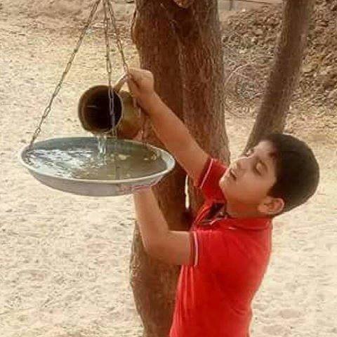 JoglekarMeenal's tweet image. #nature #birds 
#savetheecosystem
एक अच्छी सोच..! 
गर्मी कि छुट्टियों में अपने बच्चे को भी जरूर प्रेरित करें...!
          👇👇👇👇