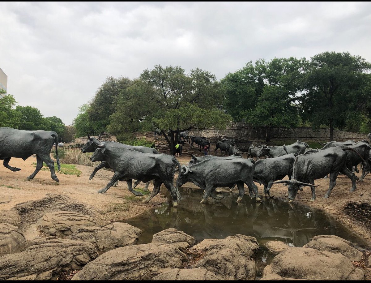 WR78602's tweet photo. Follow the herd to #TylerConnect #TylerConnect2019 #TylerConnect #Incode https://t.co/BPwYuDA9Md